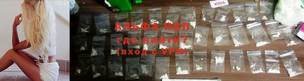ECSTASY Кодинск
